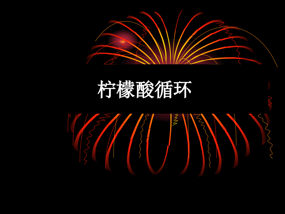 生物化学 柠檬酸循环.ppt_第1页