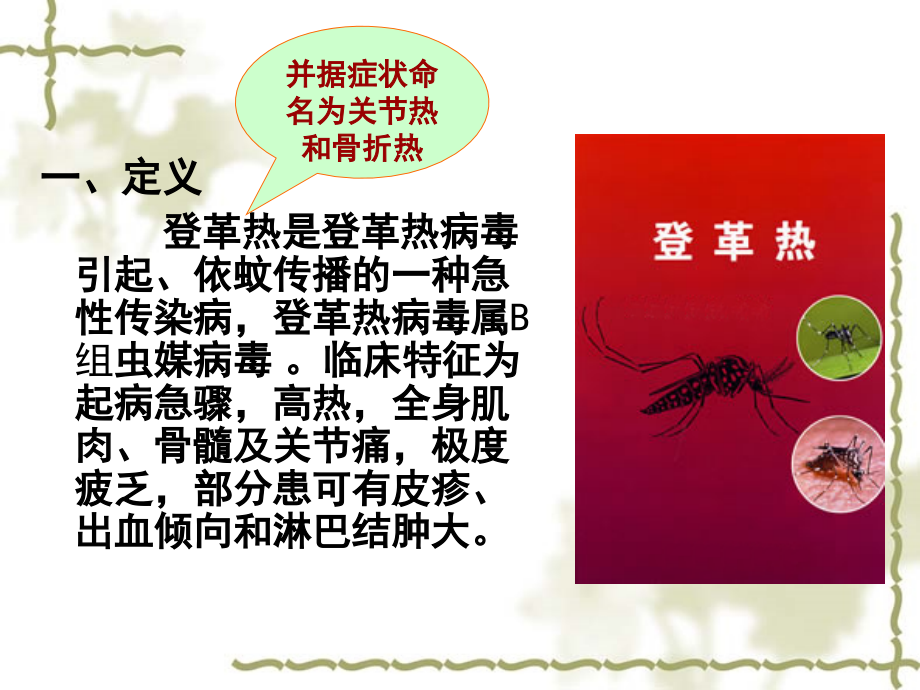 登革热讲座.ppt_第2页