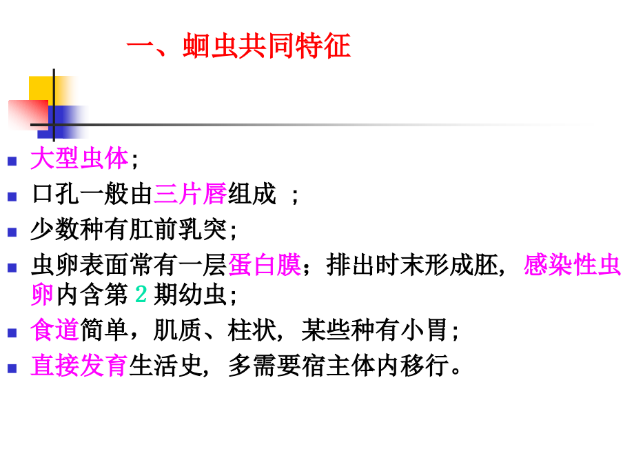 第二节 蛔虫及蛔虫病.ppt_第2页