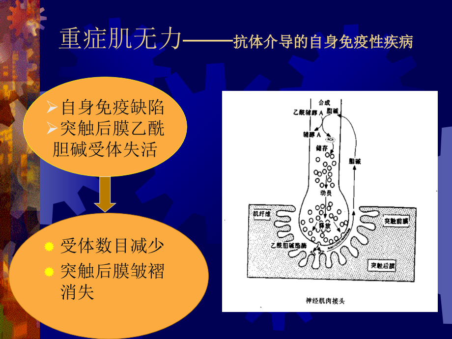 神经肌肉疾病患者的麻醉、讲课ppt.ppt_第2页