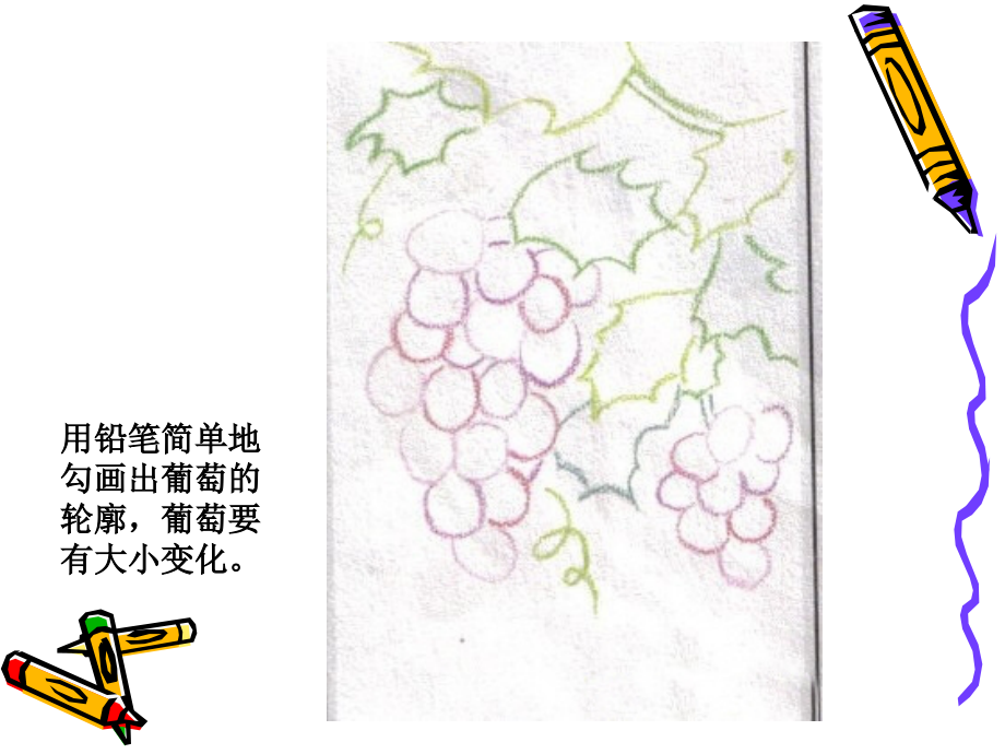 葡萄的画法.ppt_第2页