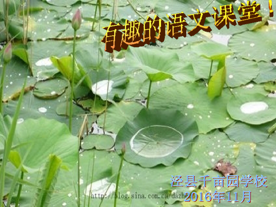 (部编)人教一年级上册青蛙写诗.ppt_第1页