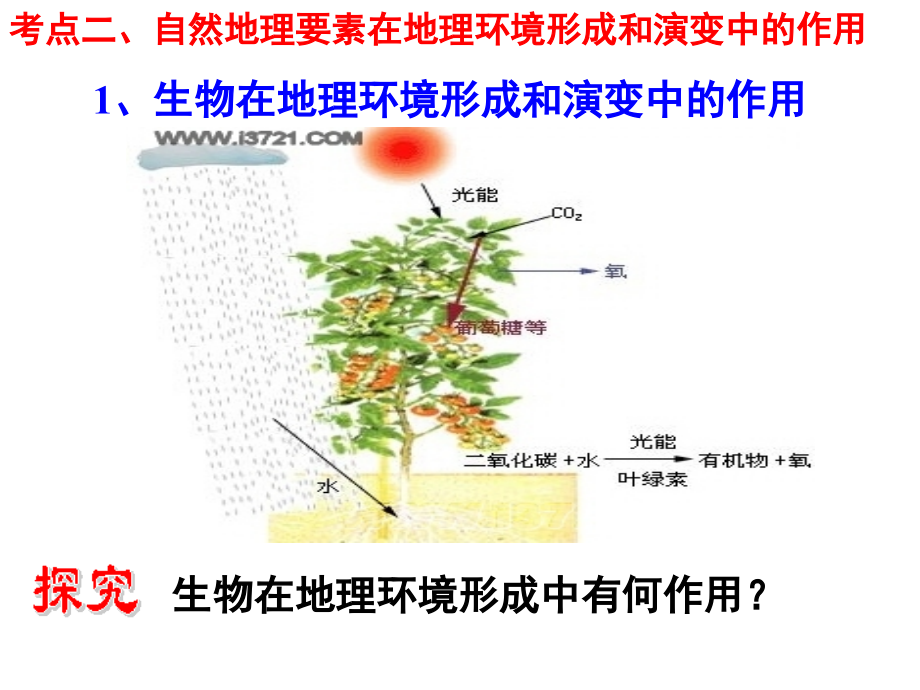 生物和土壤.ppt_第2页