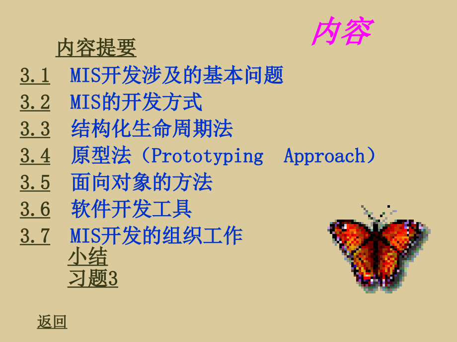 第3章_管理信息系统的开发方式与方法.ppt_第2页