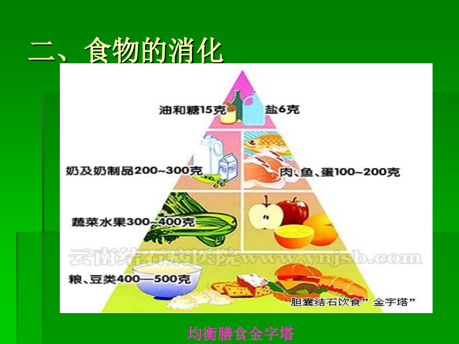 课件 食物的消化.ppt_第1页