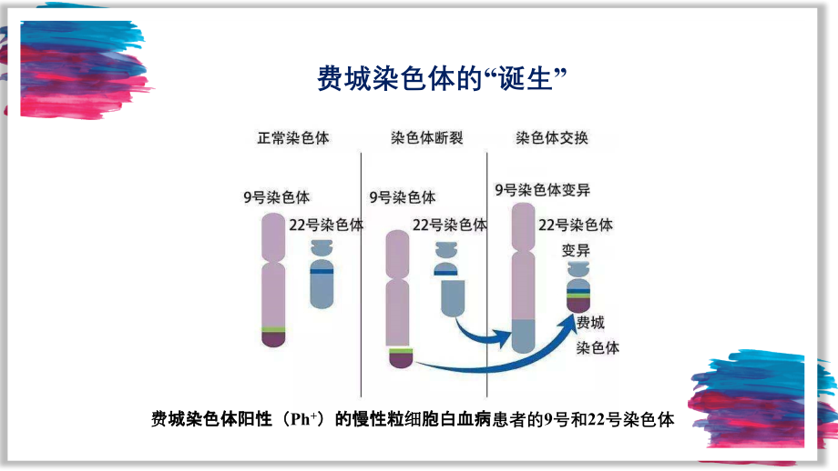 一染色体结构变异.pptx_第2页