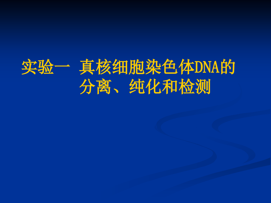 实验1 DNA提取纯化检测.ppt_第1页