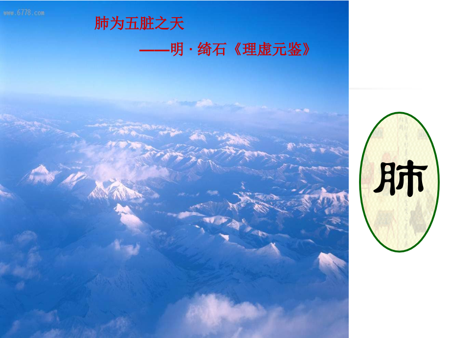 第二节 肺.ppt_第1页