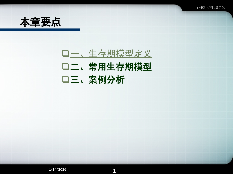 软件开发生命周期.ppt_第2页