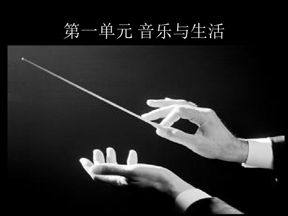 槟榔树下摇网床.pptx_第1页