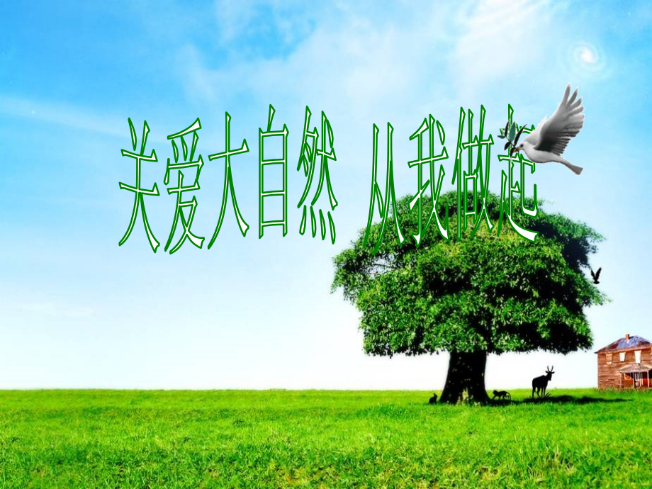 八年级政治下册-关爱大自然-从我做起课件-鲁教版.ppt_第2页