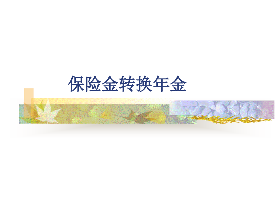 保险金转换年金方式.ppt_第1页