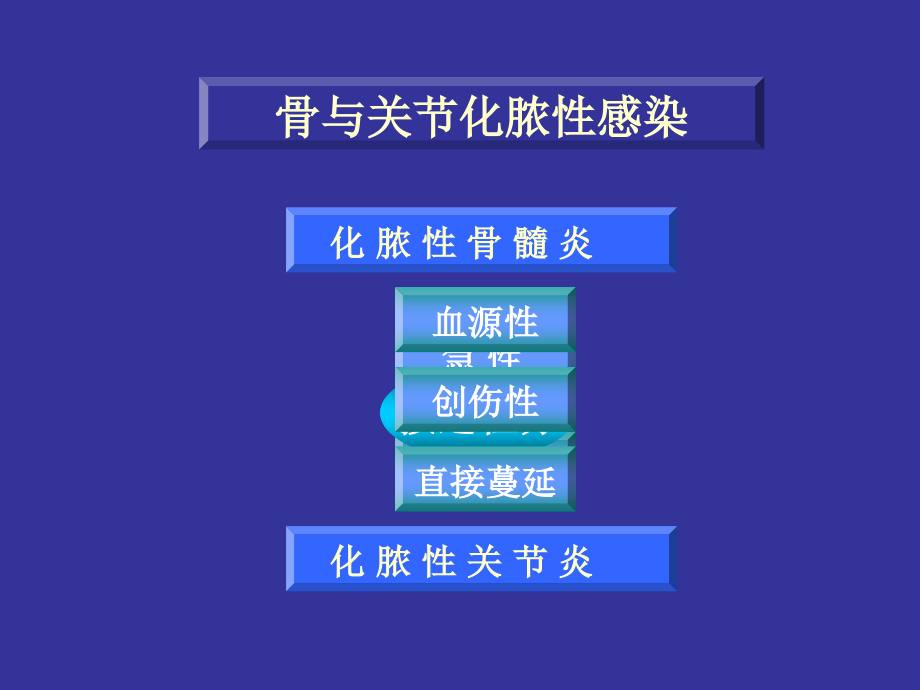 化脓性感染.ppt_第2页