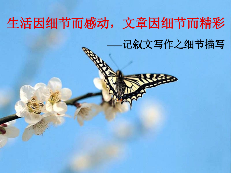 “表达·交流”综合实践.ppt_第2页