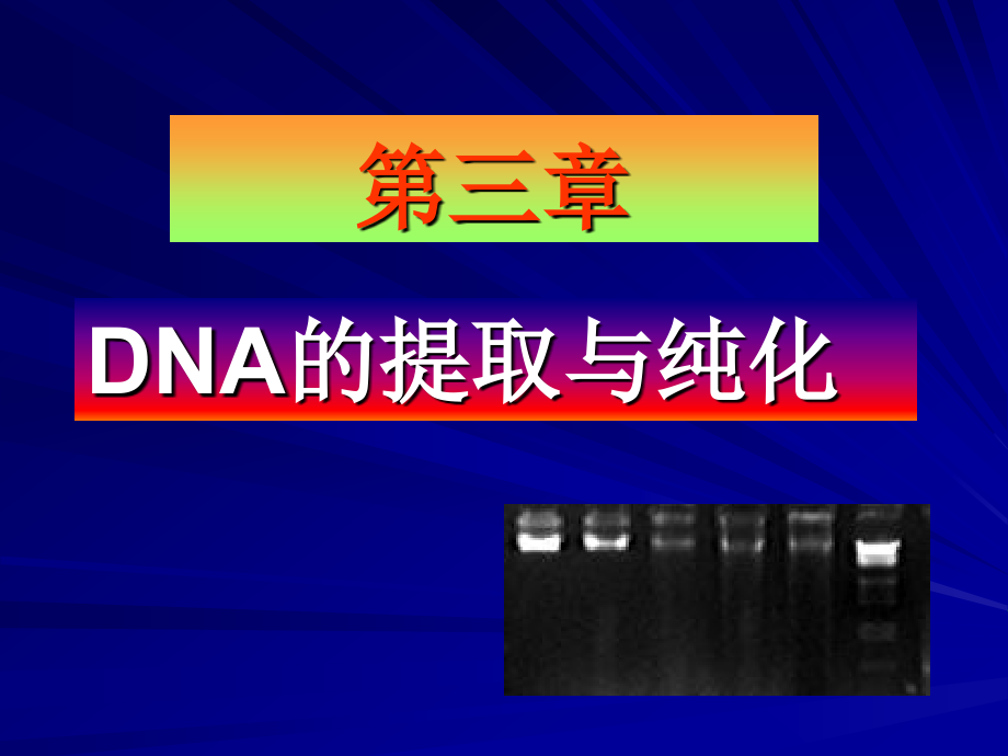 第三章 提取和分离.ppt_第1页
