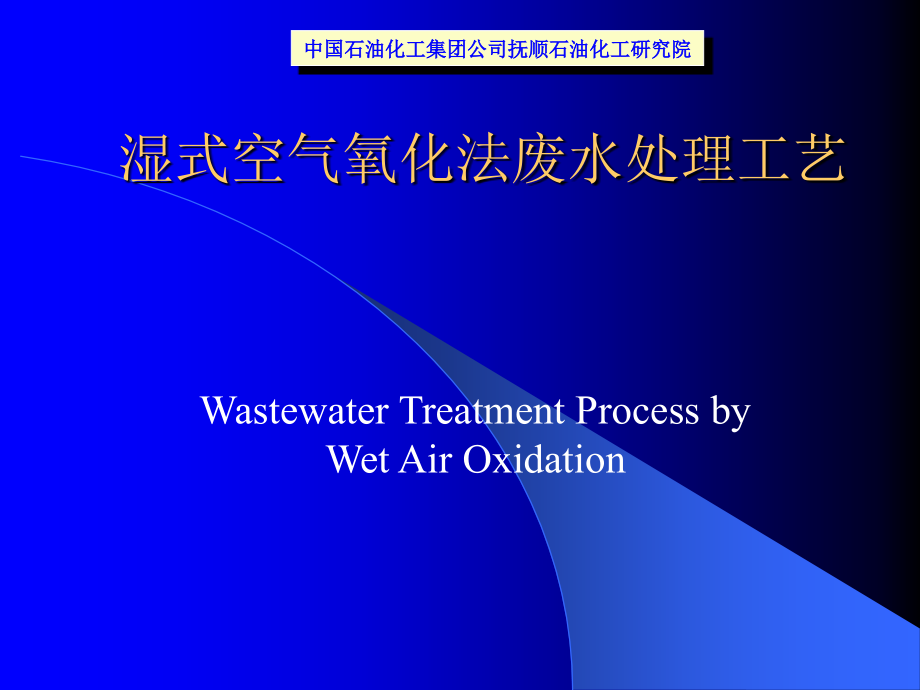 湿式空气氧化法.ppt_第1页