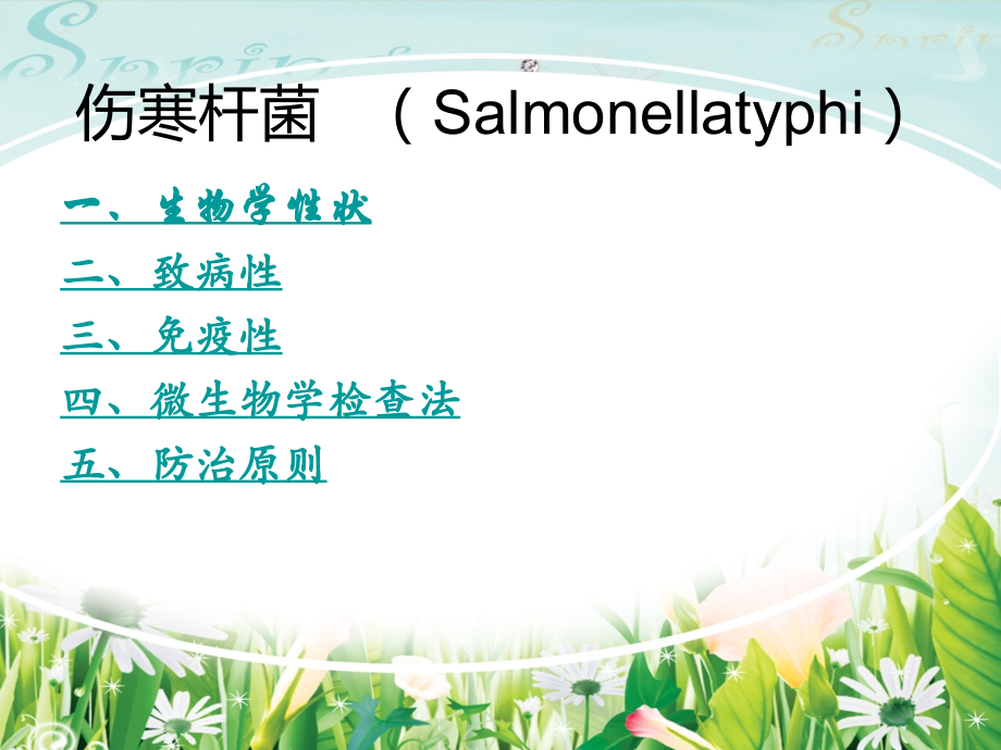 伤寒杆菌 Salmonellatyphi.ppt_第2页