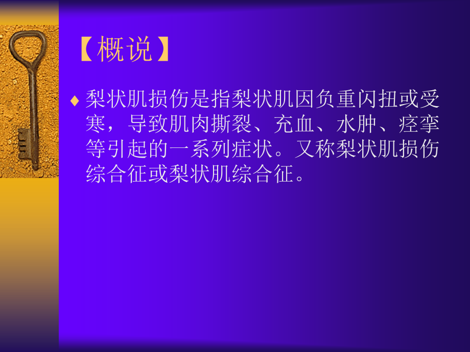 梨状肌损伤.ppt_第2页