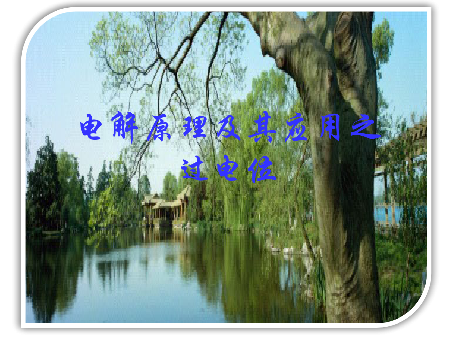 过电位与自由基.pptx_第1页