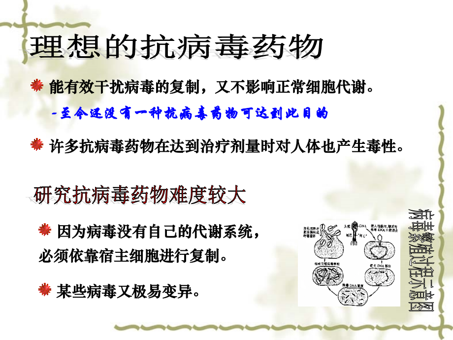 第九章化学治疗药78.ppt_第2页