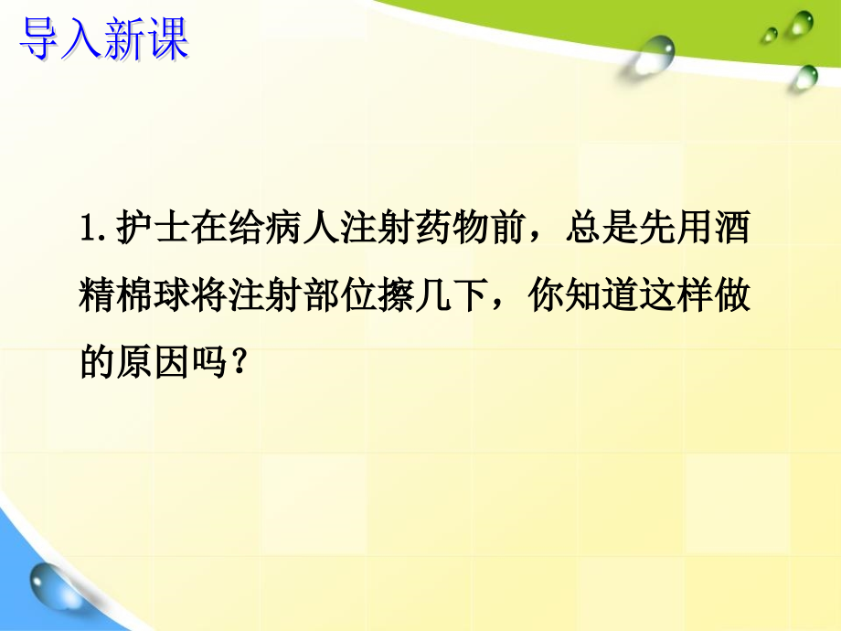 第一节　细菌和真菌的分布.ppt_第2页