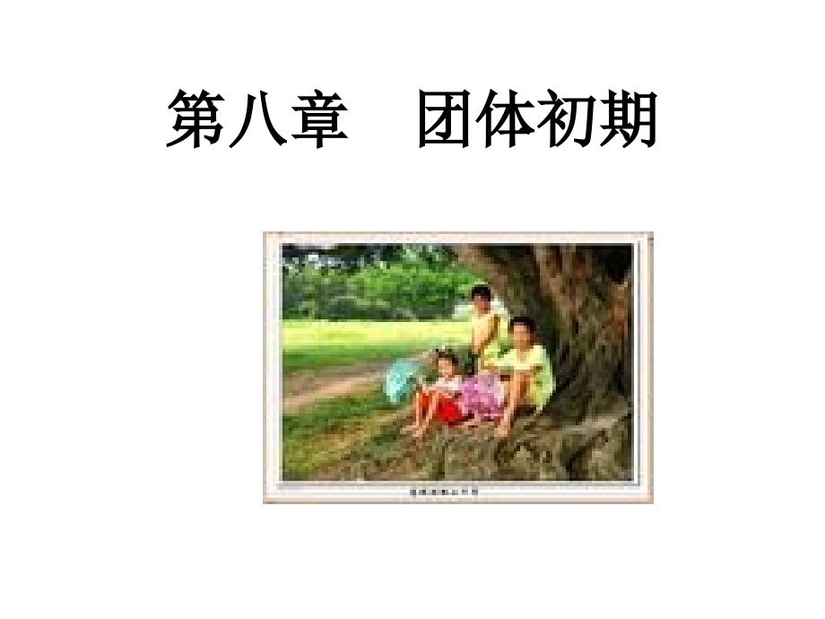 第八章团体初期.ppt_第1页