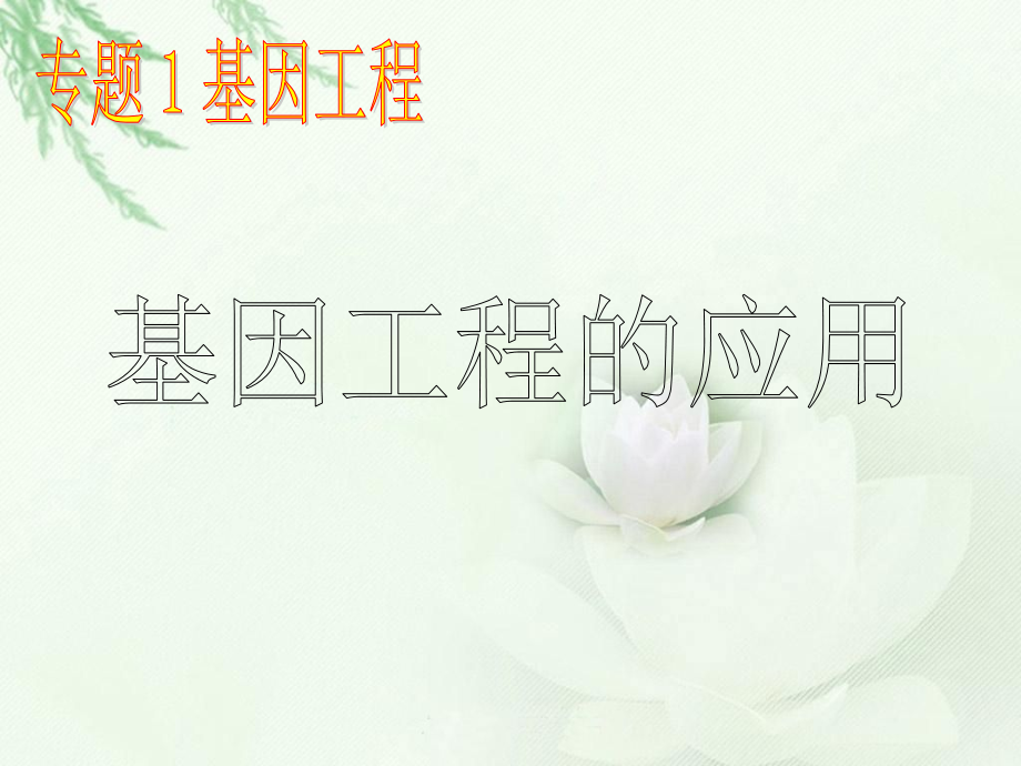 人教版教学课件湖南省安仁一中生物必修三《13基因工程的应用》课件.ppt_第1页