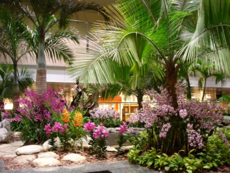 十字路口的位置.ppt_第1页