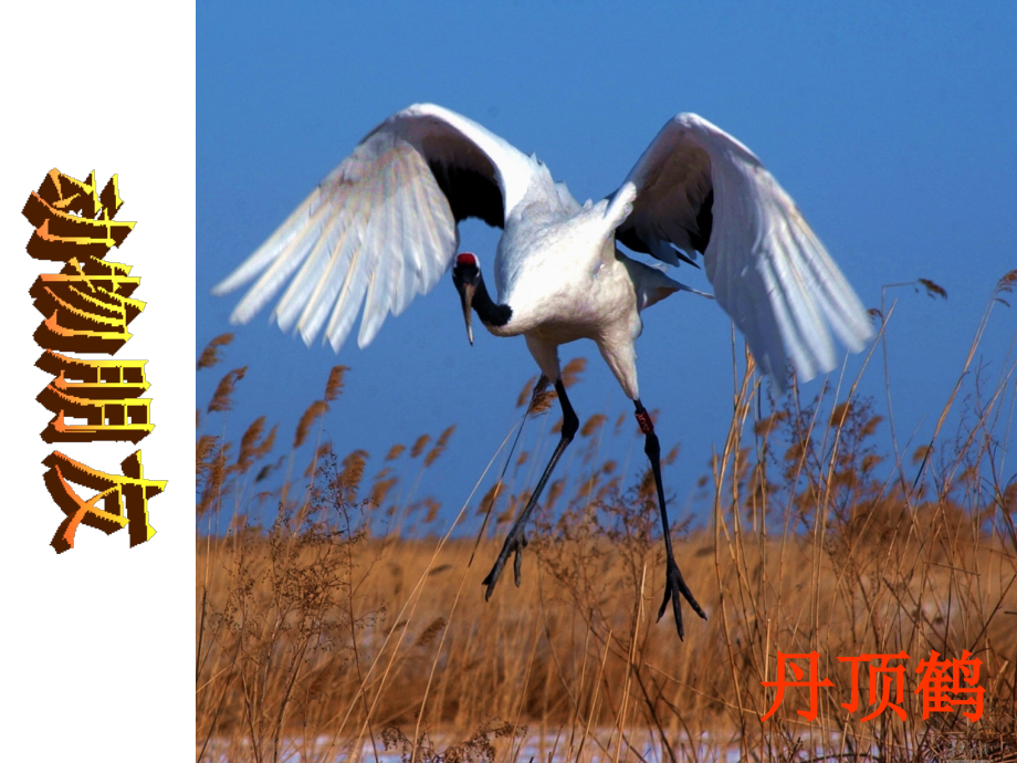 小学数学人教三年级万以内的加法和减法（二）课件.ppt_第2页