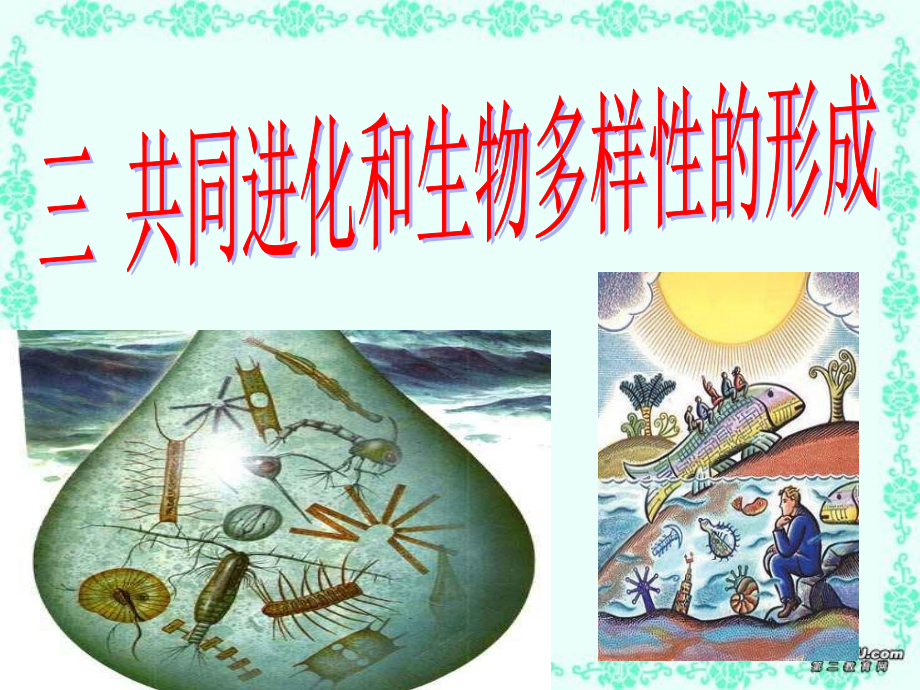 三　共同进化与生物多样性的形成.ppt_第1页