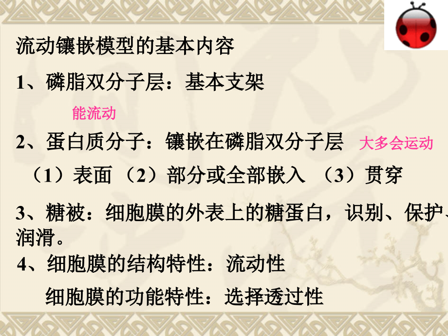 三物质进出细胞的方式.ppt_第2页