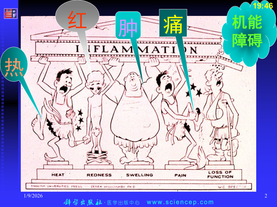 第4章 炎症.ppt_第2页