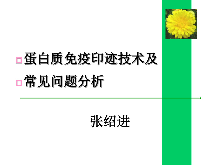 Western blot详解及问题分析.ppt_第1页