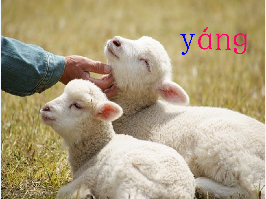 (部编)人教一年级上册ang.pptx_第2页