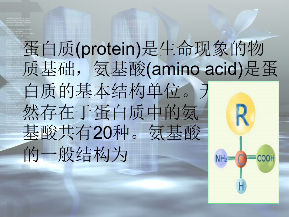 氨基酸的等电点的计算.ppt_第1页