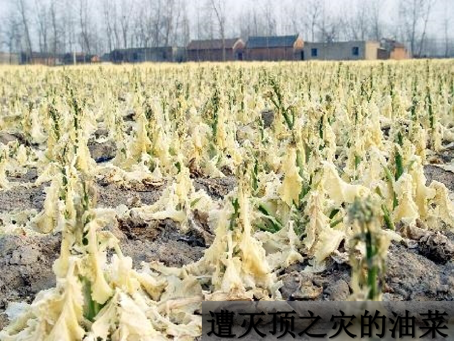 第三节人类活动对区域地理环境的影响.ppt_第2页