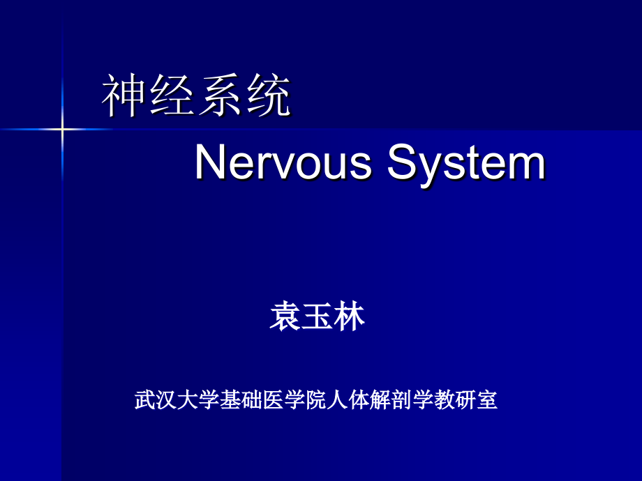 神经系统-药学13ppt.ppt_第1页