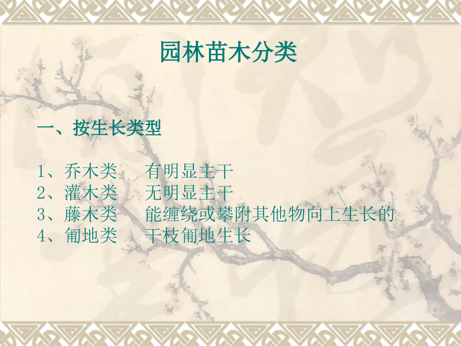 常用园林苗木识别.ppt_第2页