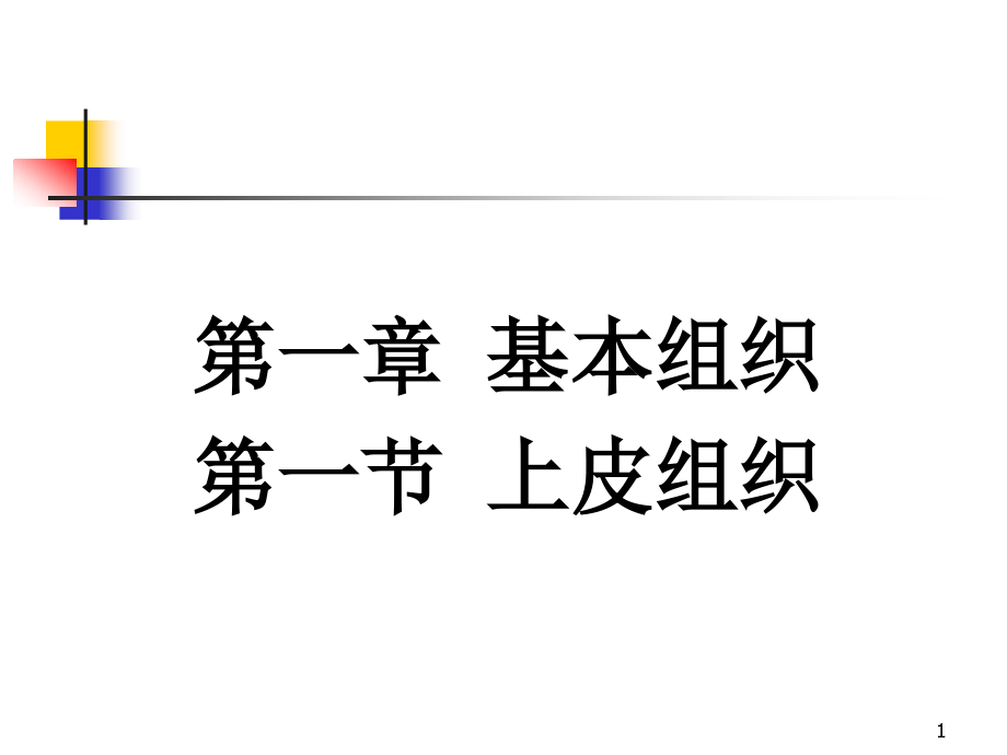 上皮组织.ppt_第1页