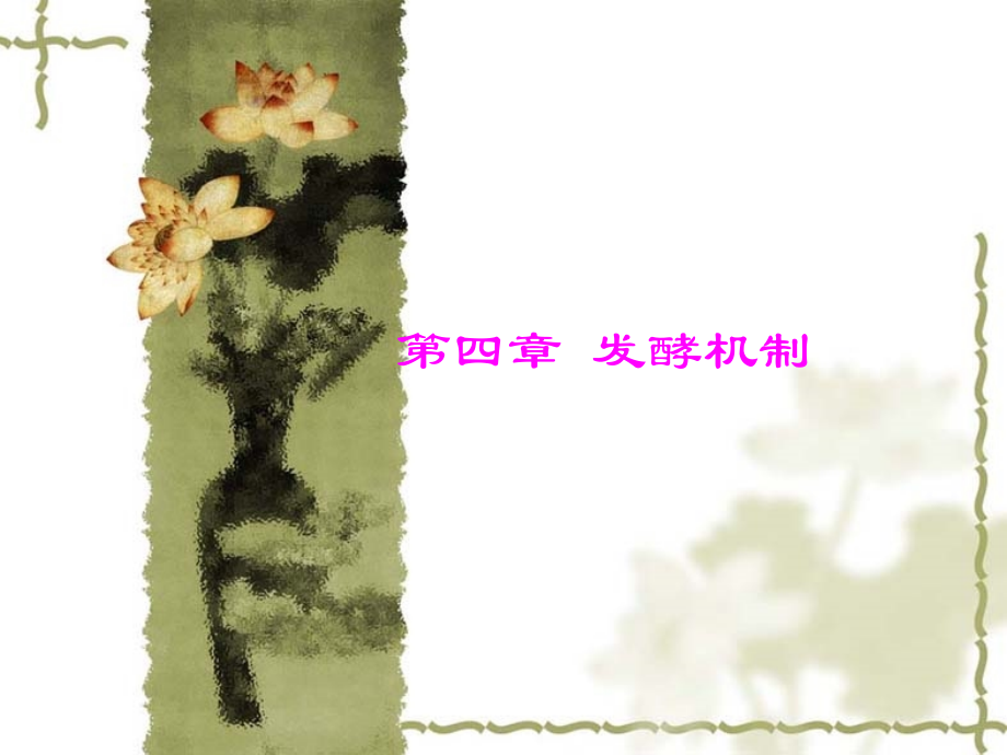 第四章 发酵机制.ppt_第1页