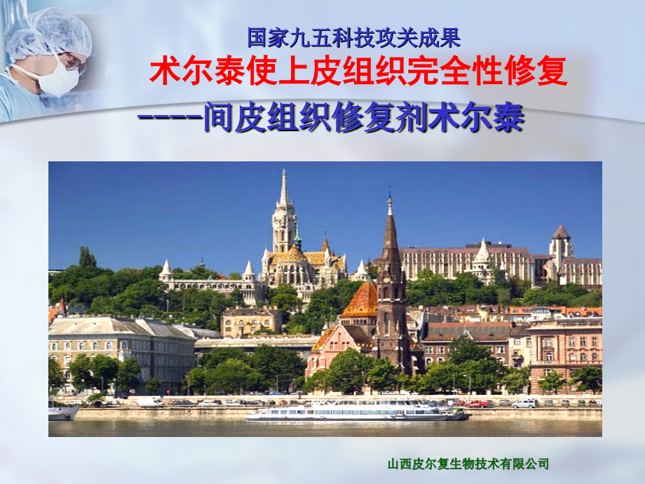 术尔泰幻灯片.ppt_第1页