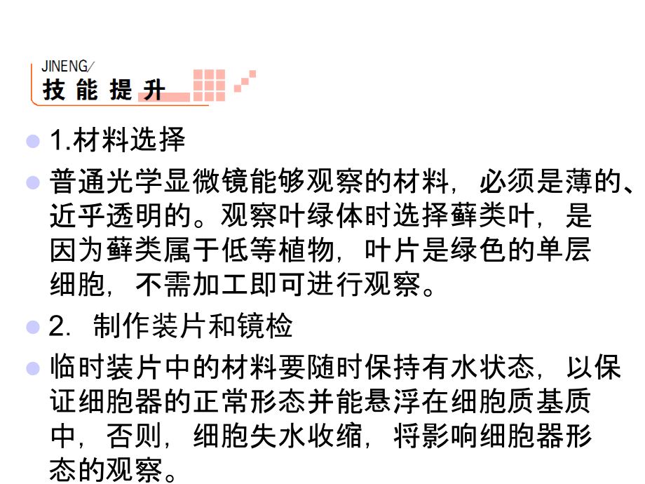 观察叶绿体和线粒体.ppt_第2页
