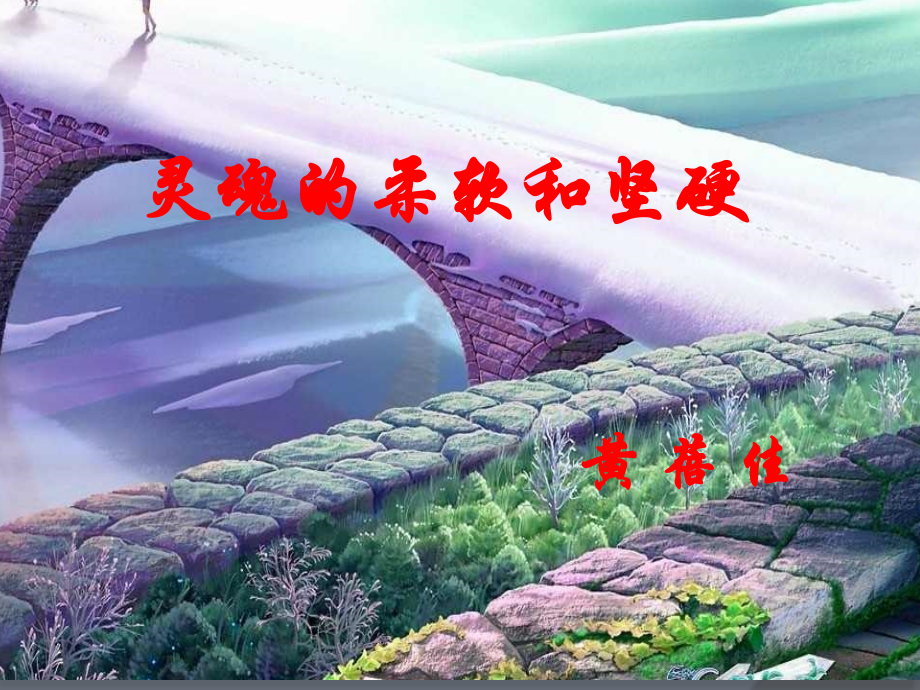 二十六灵魂的柔软和坚硬.ppt_第1页