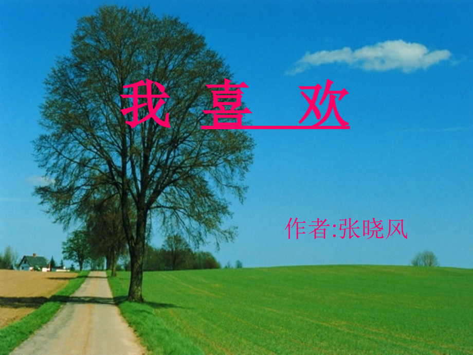 北师大版五年级上册《我喜欢》课件.ppt_第1页
