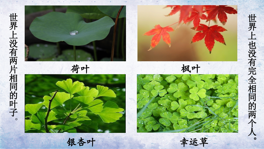 一、行为方式差异导致人际冲突.pptx_第1页
