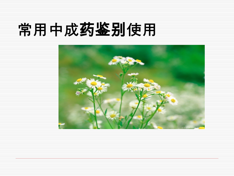 感冒_用药_课件.ppt_第1页