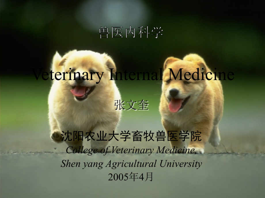 内科-消化系统反刍兽.ppt_第1页