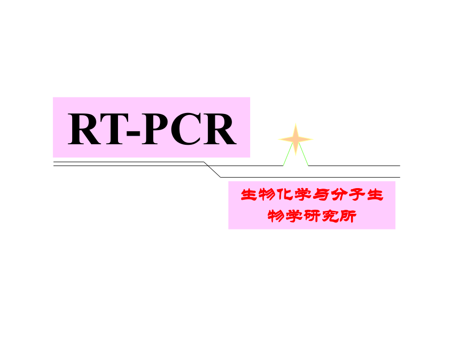 RT-PCR课件.ppt_第1页