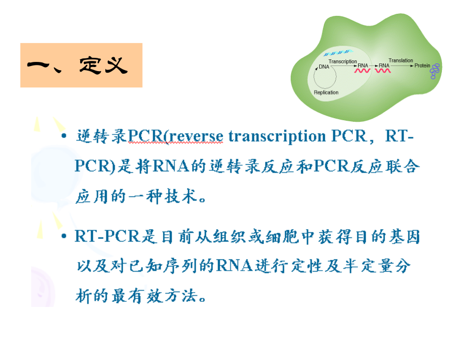 RT-PCR课件.ppt_第2页