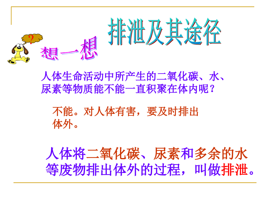 第四节人体的排泄.ppt_第2页